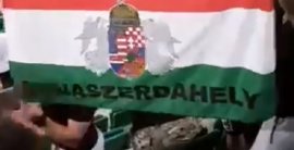 VIDEO: Fanúšikovia DAC Dunajská Streda vo Viedni provokovali Slovanistov s maďarskou vlajkou