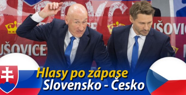 Hlasy po zápase Slovensko - Česko