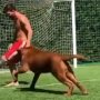 VIDEO: Messi pes