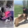 VIDEO: Chabib vs medveď