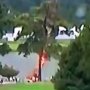 VIDEO: Hrôza na prestížnom golfovom podujatí: Šesť zranených po zásahu blesku tesne uniklo smrti