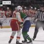 Bitka roka AHL